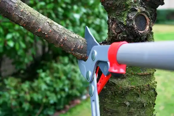 tree services Tracy City